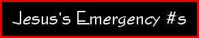 emergencynumbers3redbrdr.jpg